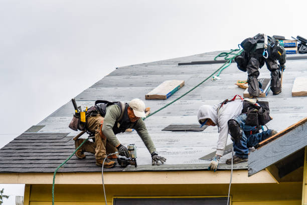 Professional Roofing technician working in Elk Mound, WI